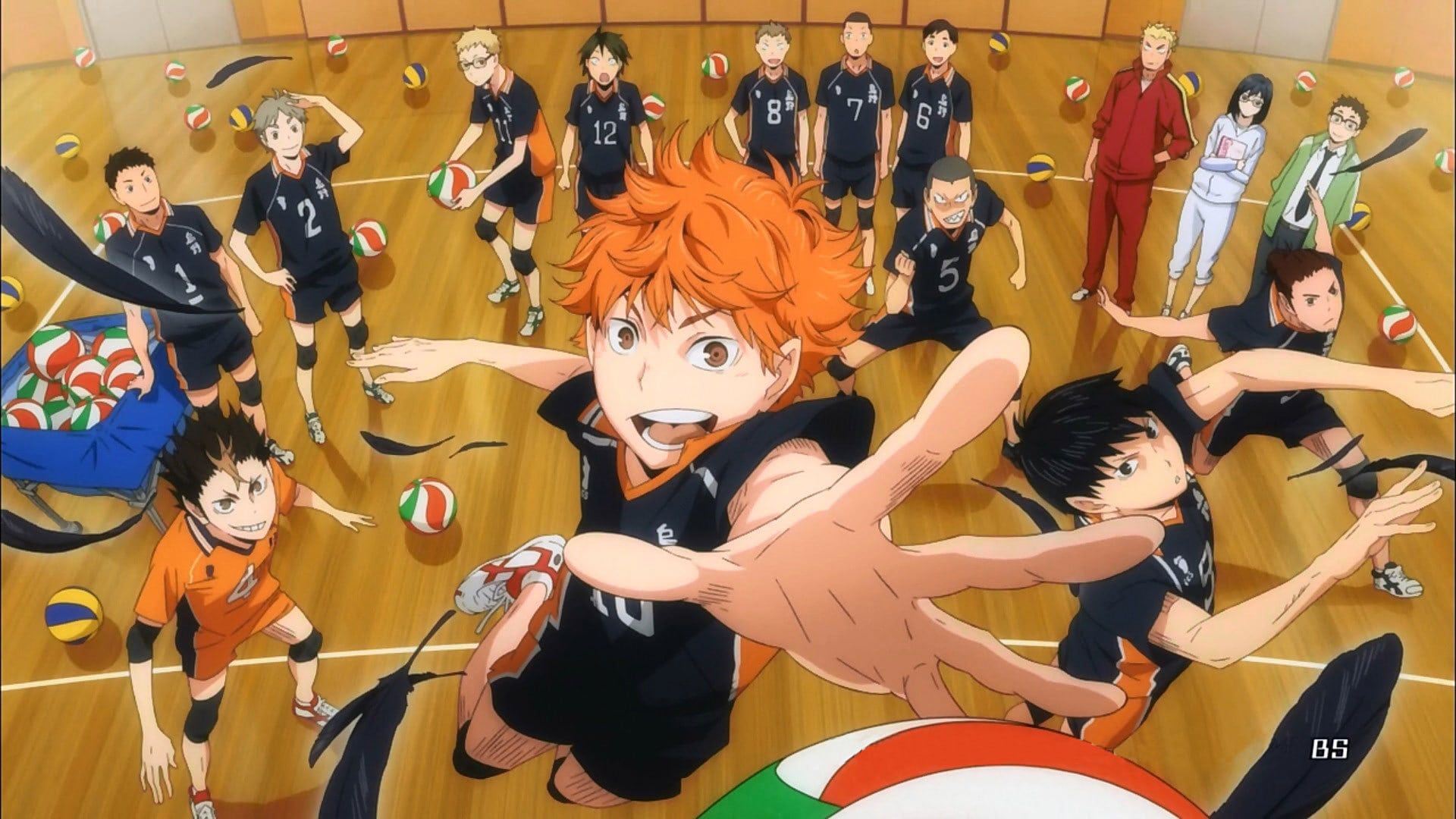 Do you watch Haikyuu ? Because I Laikyuu