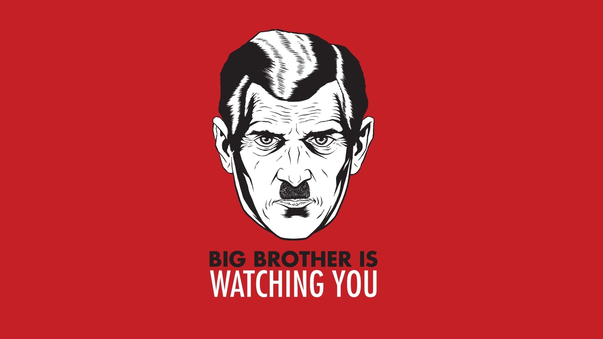 Big brother is watching you что это