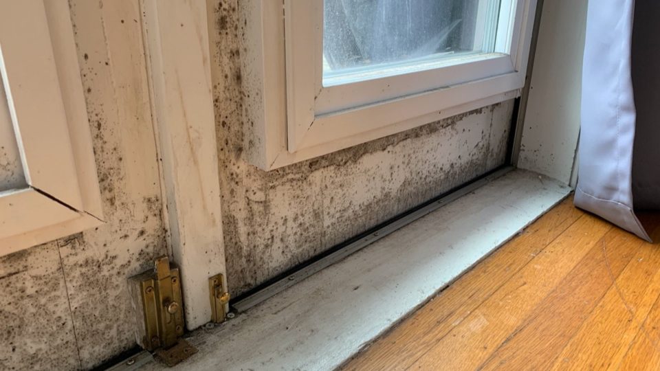 Mold