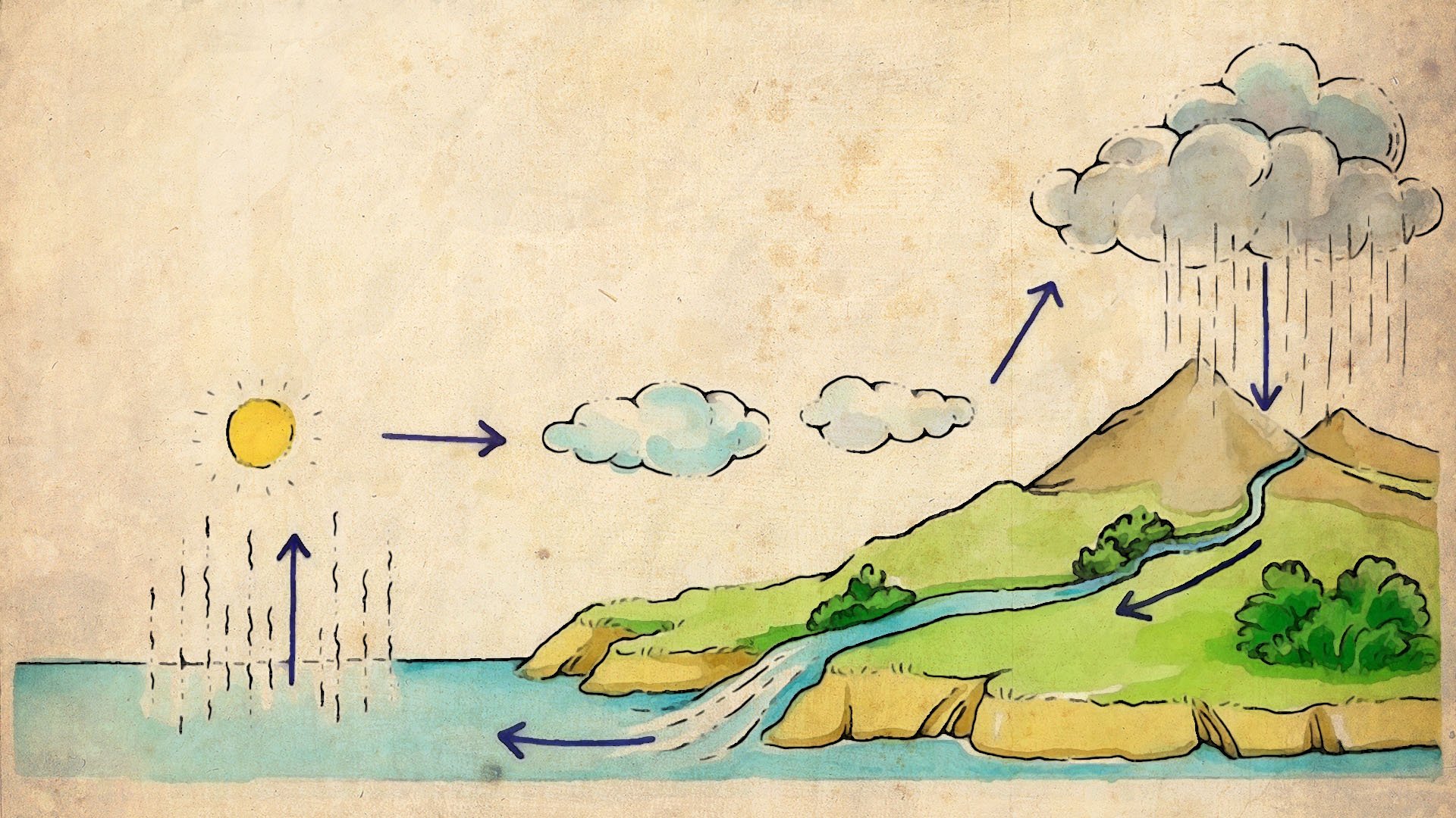 Water Cycle Diagram